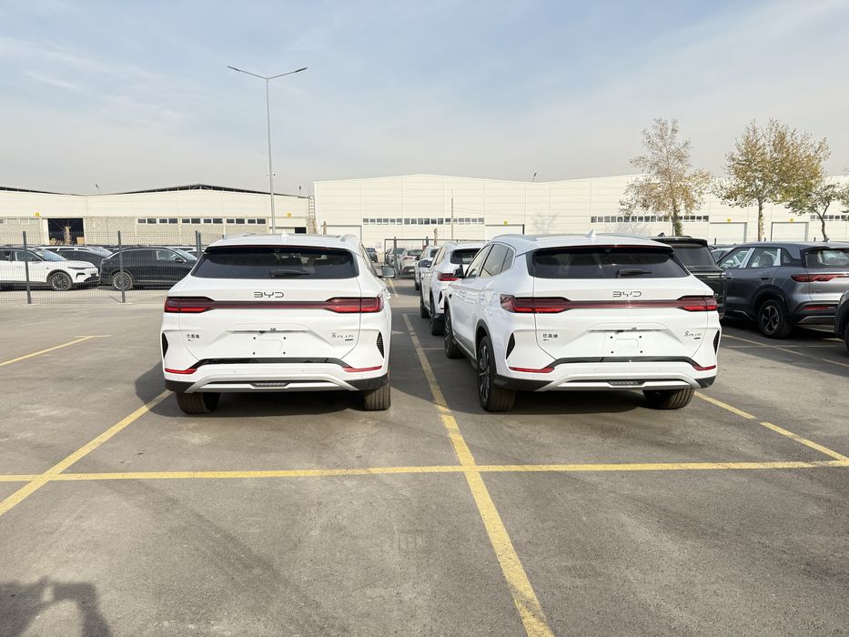 Sea Lion 06. Tashkent da Nd 40. Klent nomiga chiqadi