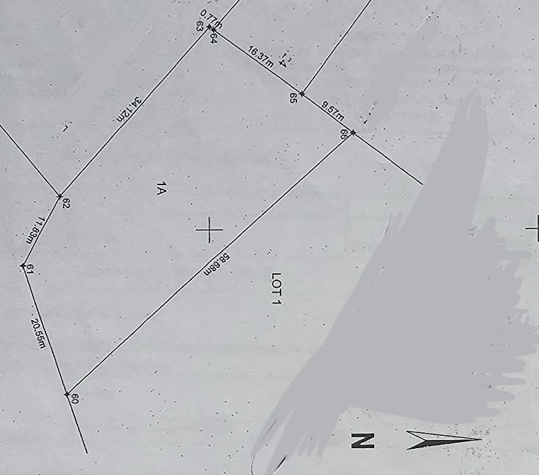 Vand 2 loturi de teren la Vladesti