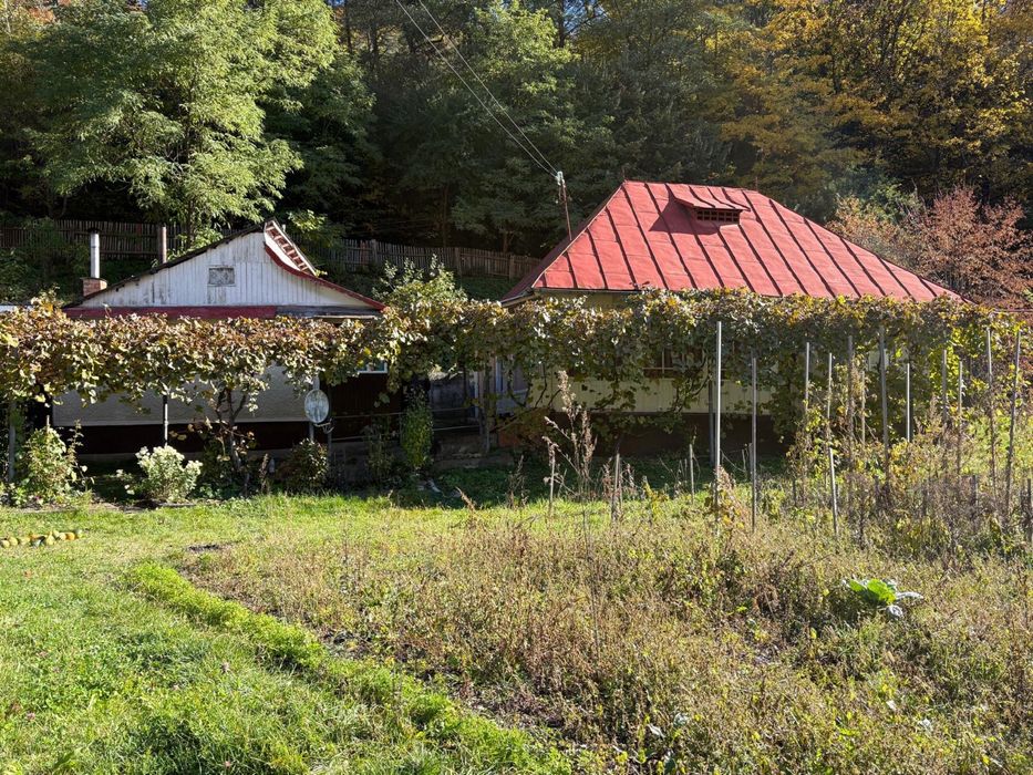 Casa de vanzare Pangarati, jud Neamt