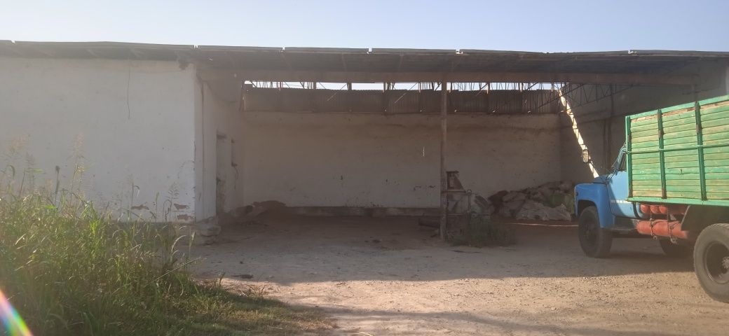 2 hinali xovli 1 molxona 1 katta ayvoni Bor timir  ferma qilinga 8 stk
