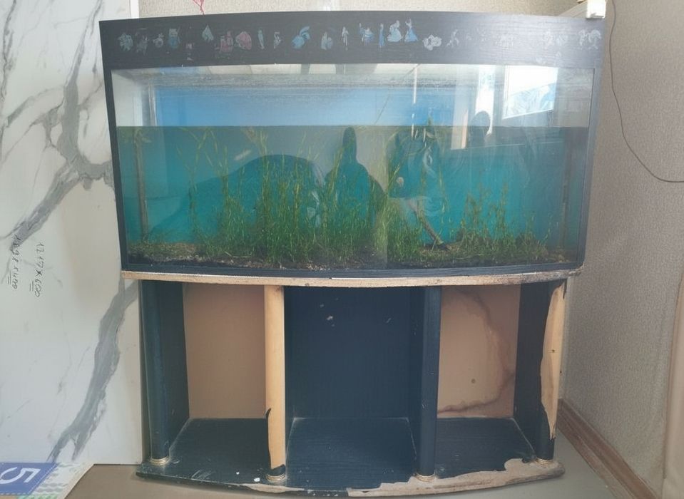Продам аквариум. Самовывоз.