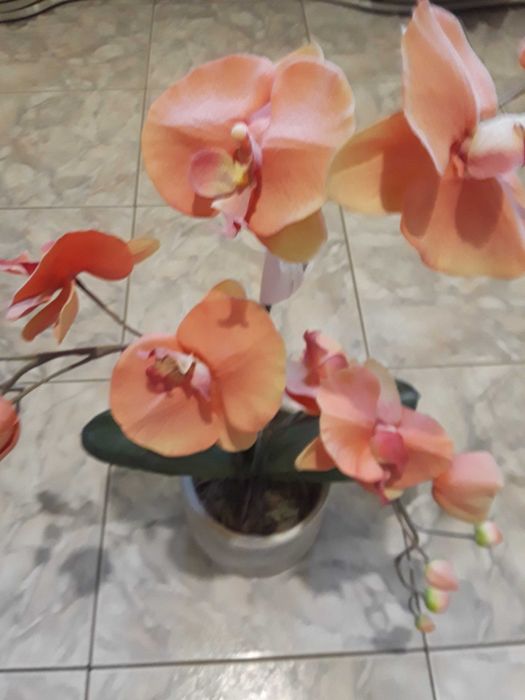 Orhidee artificială silicon