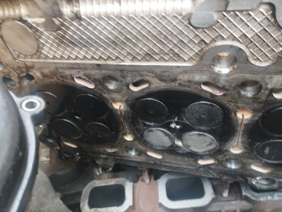 Chiuloasă Iveco daily 3.0 euro6 f1cfl4116