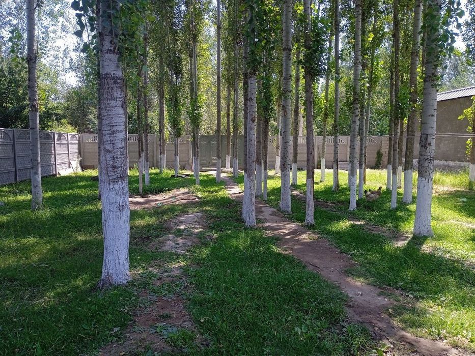 Продаю землю 5соток г.Янгиюль