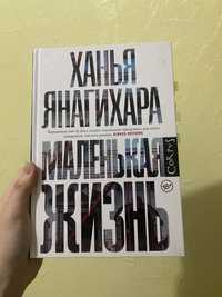 Книга «Маленькая жизнь»