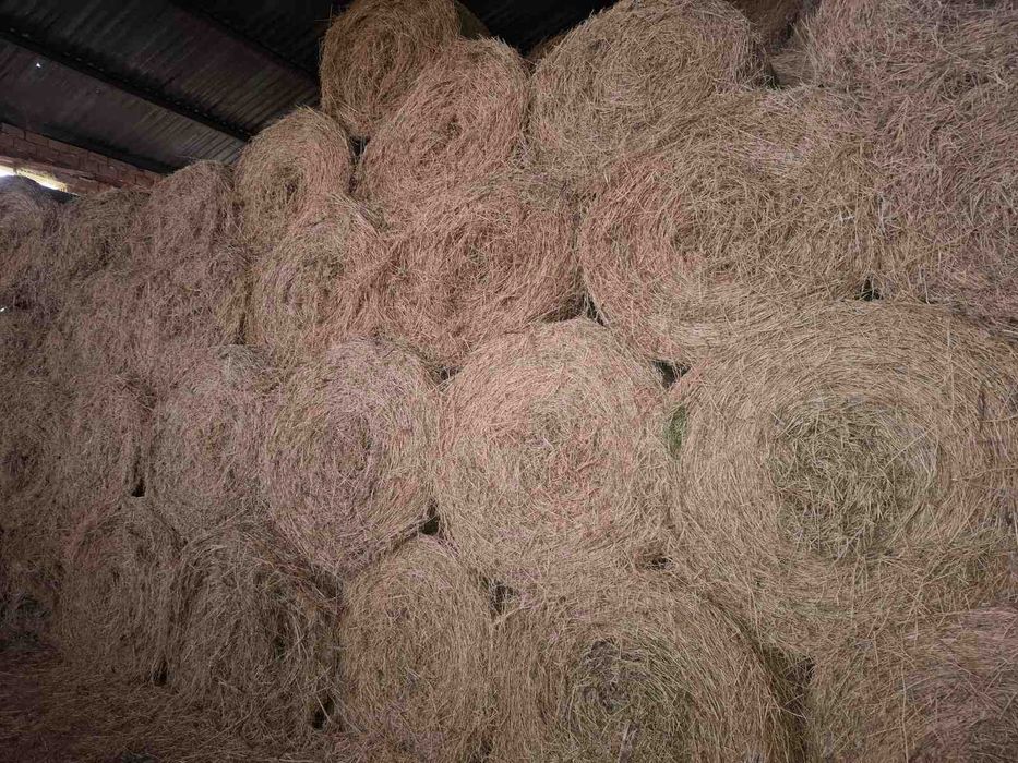 Рулонни бали люцерна и млечен зелен овес