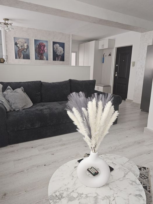 Pitesti Teilor  2 camere 99000 euro