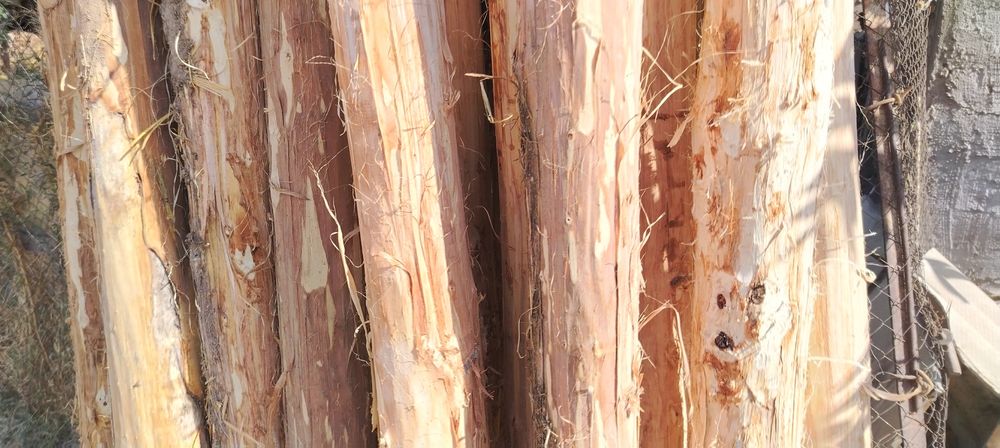 Terak sotiladi 4.5 metr