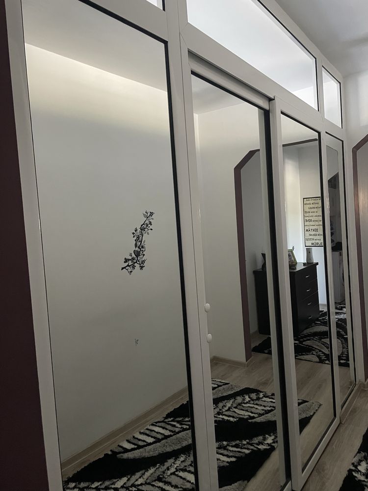 Vand panou cu usi culisate oglida abele parti