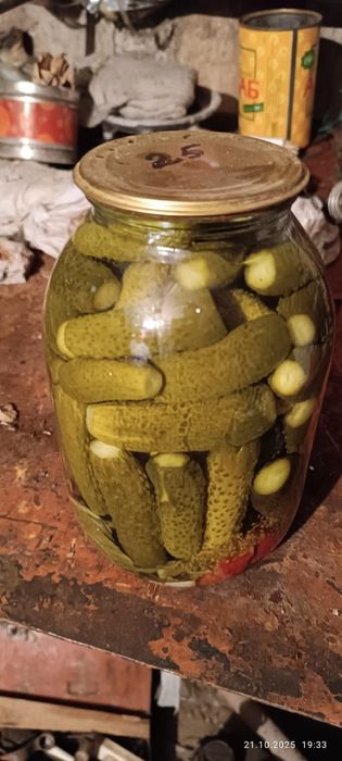 Соленные огурцы и помидоры