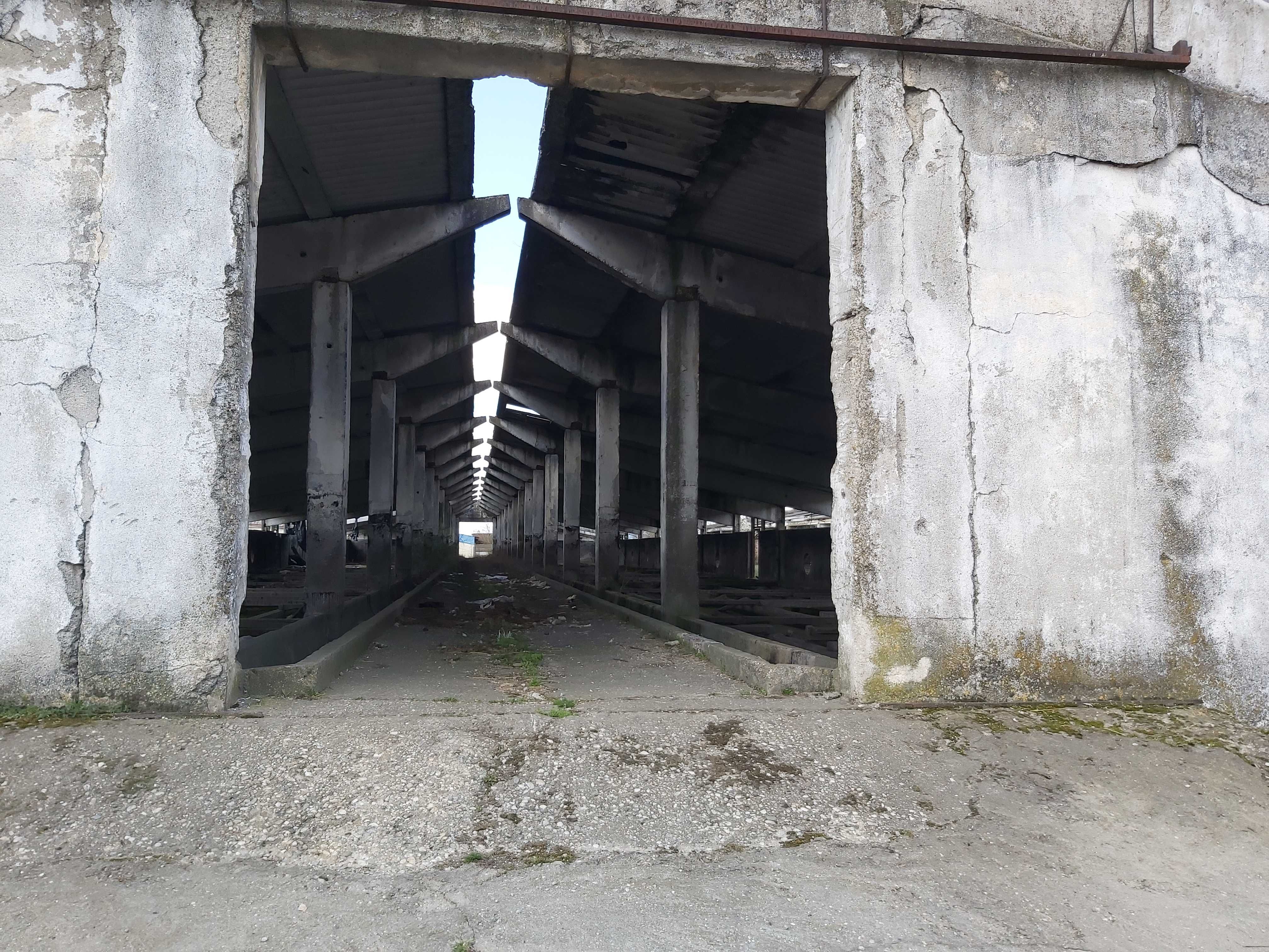 Vanzare hale dezafectate zona industriala Cateasca langa A1 km 94