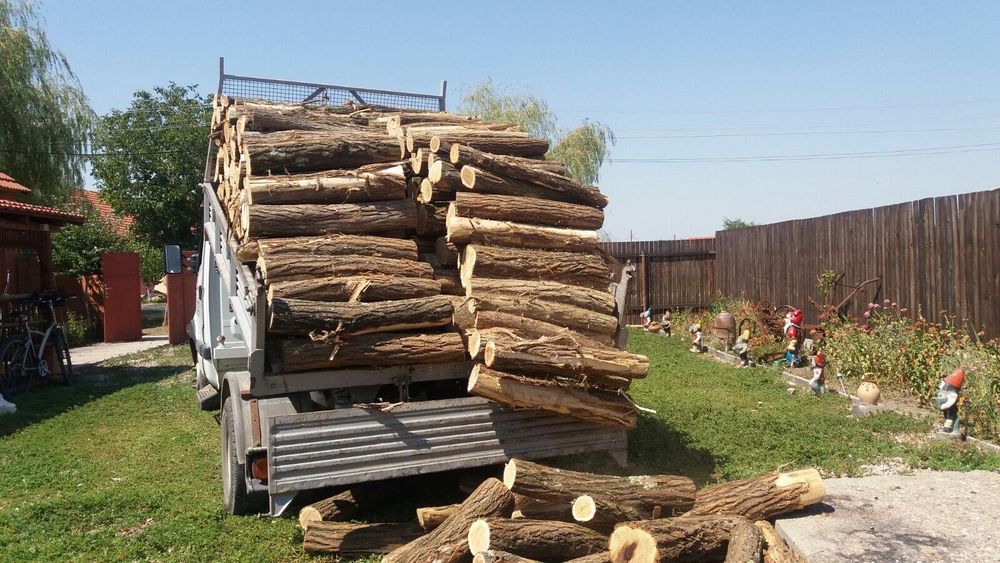 Lemn De Foc Esență Tare