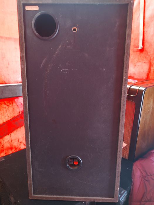 Тонколони pioneer