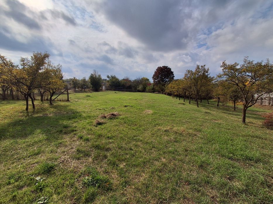 Vind teren Albota str. Morlovani 2100mp