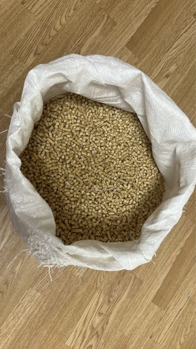 лоток для кошек и древесный впитывающий наполнитель