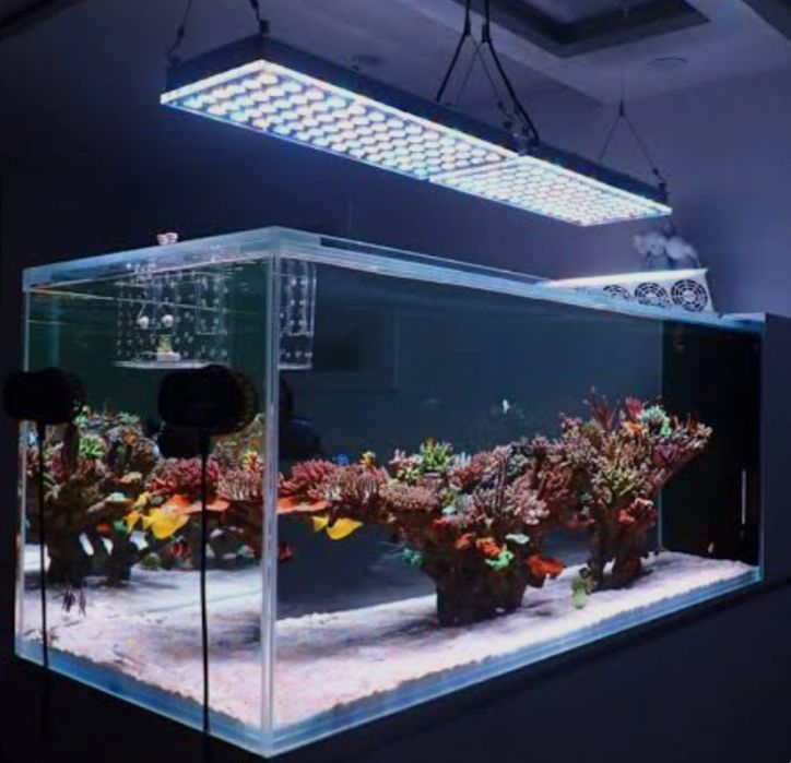 Акварим ясаш хизмати.