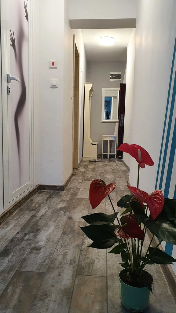 Дава се под наем Двустаен апартамент в Пловдив, Каменица 1 - 55 кв.м за 459 € - Снимка #10