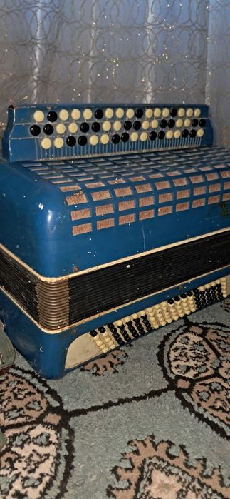 Akkardeon sifati zor