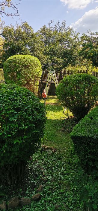 Почистване на дворове. Косене на трева, храсти, рязане на дървета.