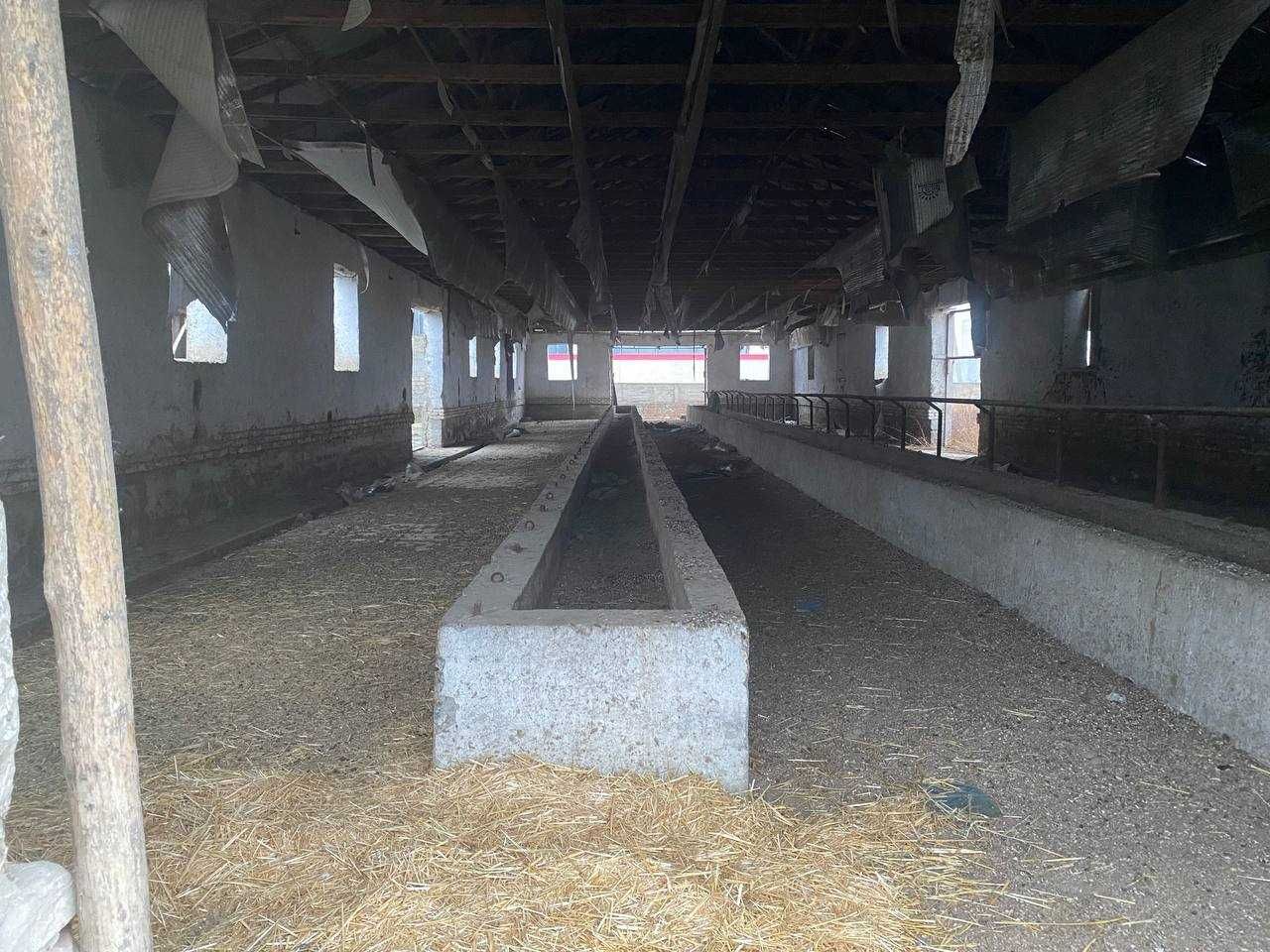 Xatirchi tumanida Molxona binosi bolib tolash sharti bilan sotiladi.