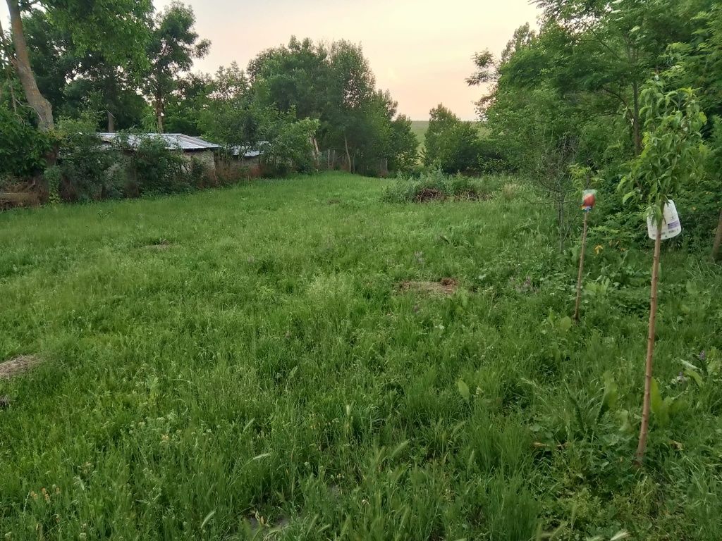 Vând casă+ teren