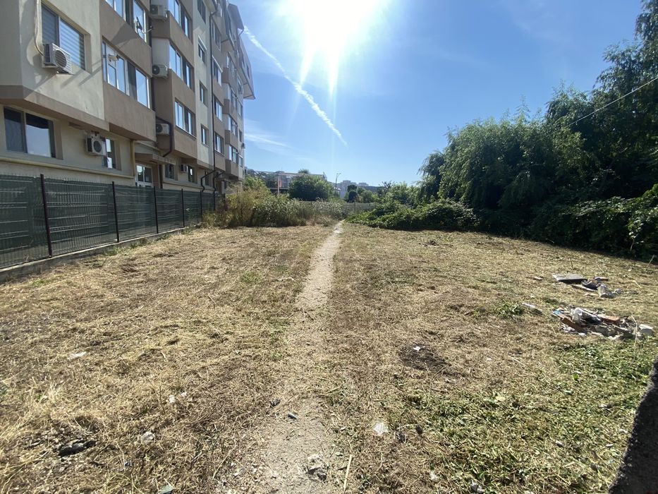 Tai tund defrisez erbicidez iarba gazon boscheti