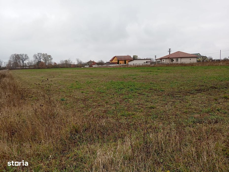 Teren de vânzare – 3 parcele intravilane la intrare în Mădăras