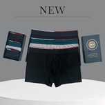 Boxeri tommy model nou