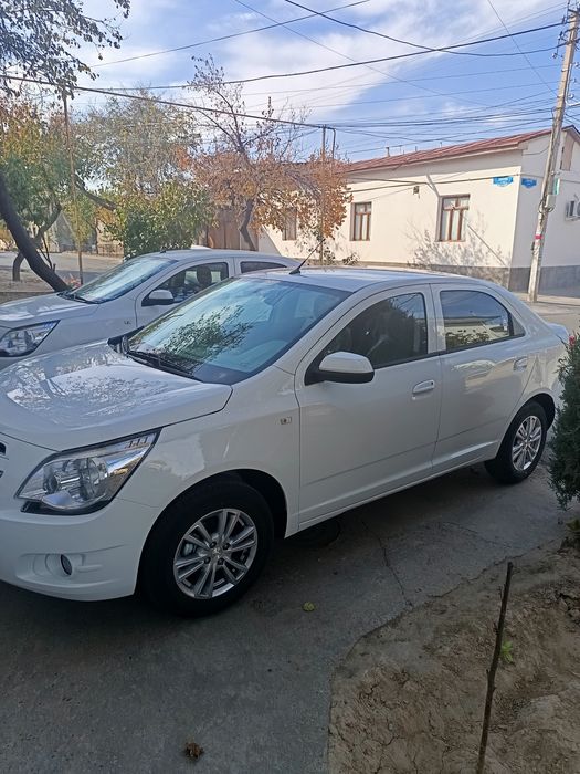 Cobalt mcm style. Nomer taqilgan.