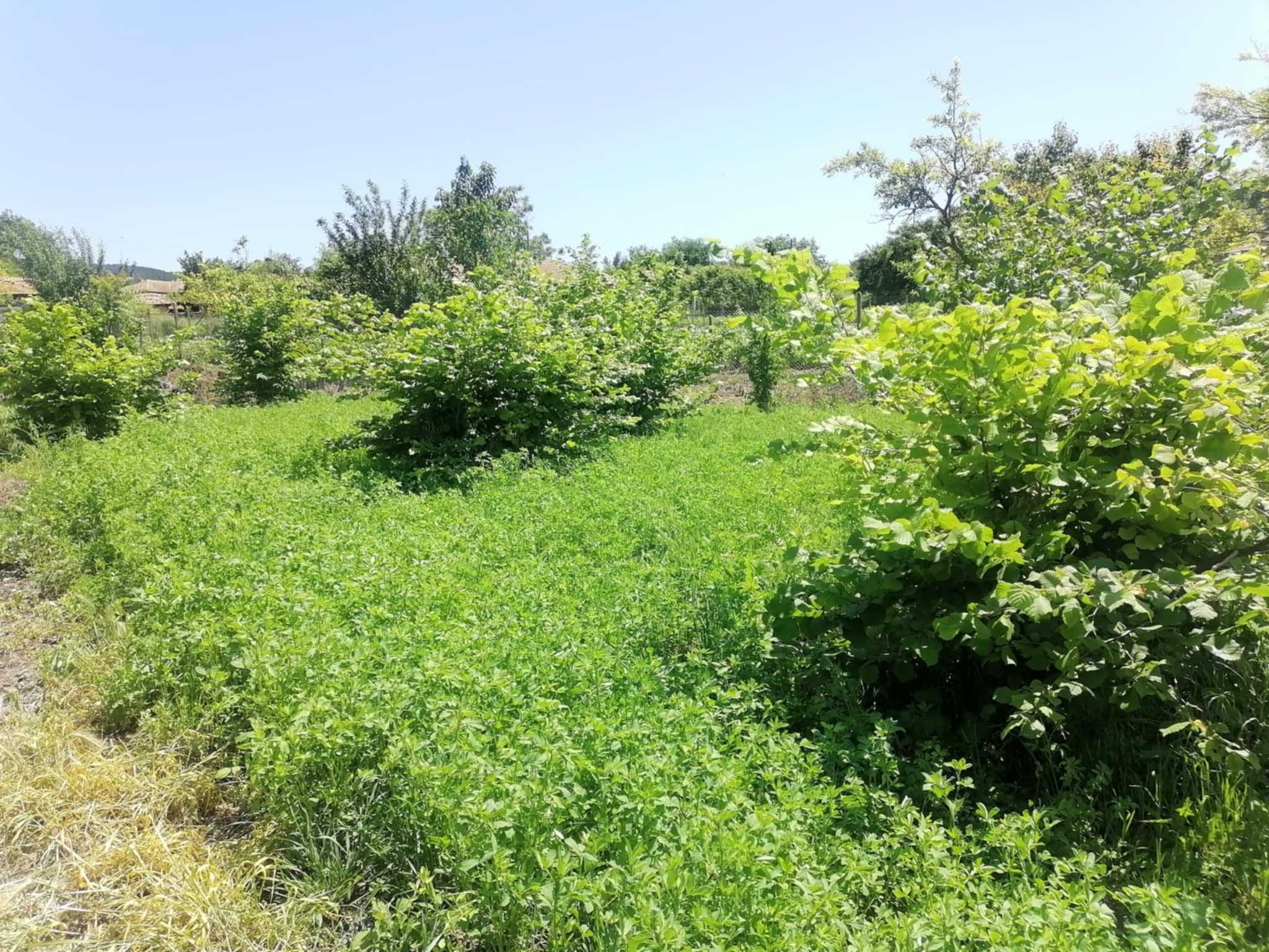Къща в  село Садина