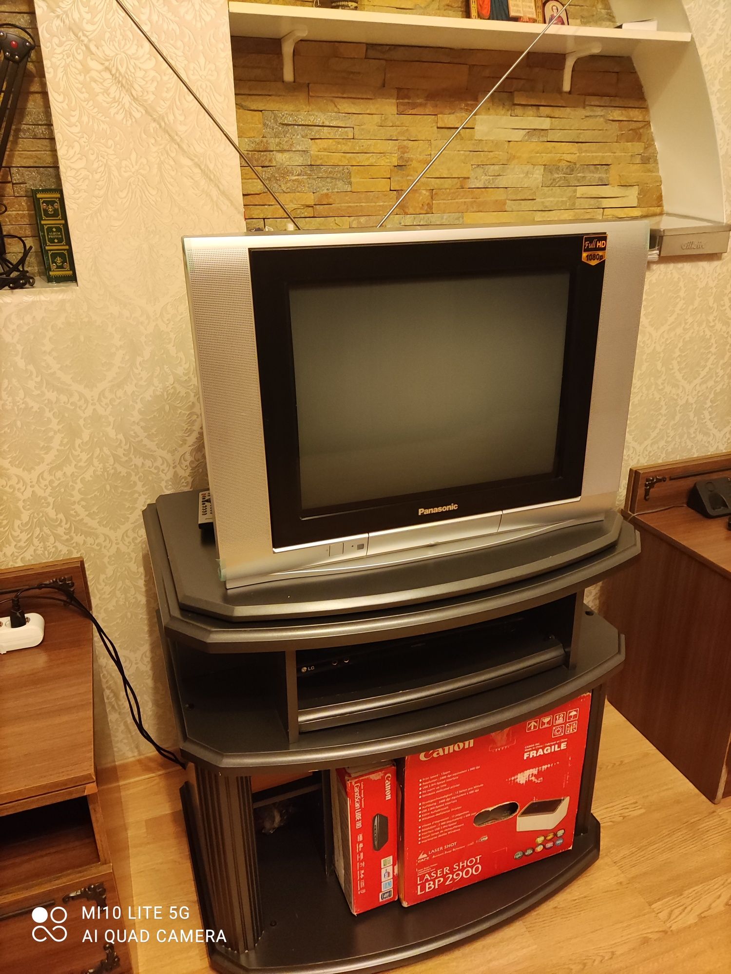 Телевизор Panasonic TC-21FJ