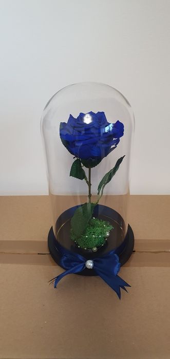 Cupola sticla cu trandafir criogenat