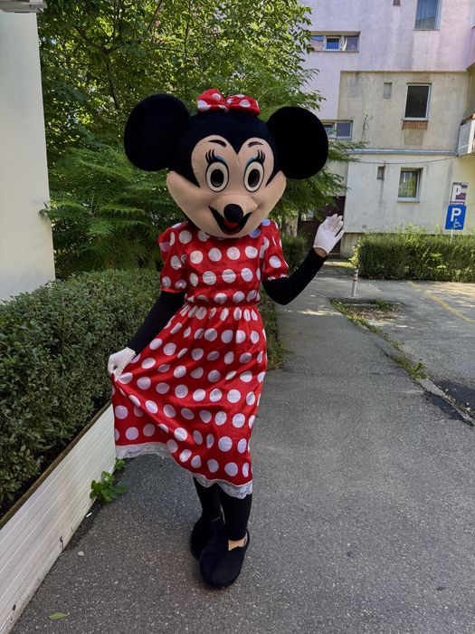 Animator mascota petreceri copii