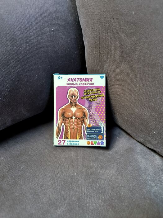 Живые карточки. Анатомия (набор из 27 карточек)
