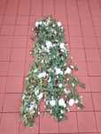 Ornamente evenimente ghirlande, flori, pahare 750 lei
