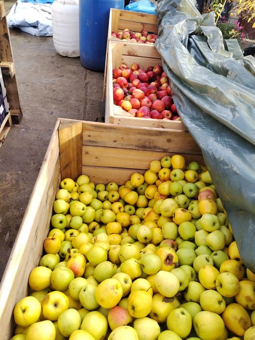 Suc de mere natural 100%