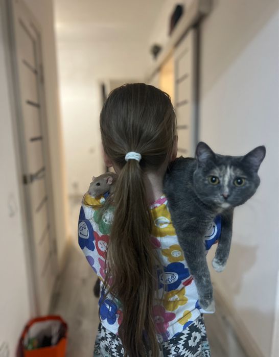 Отдадим кошечку в добрые руки