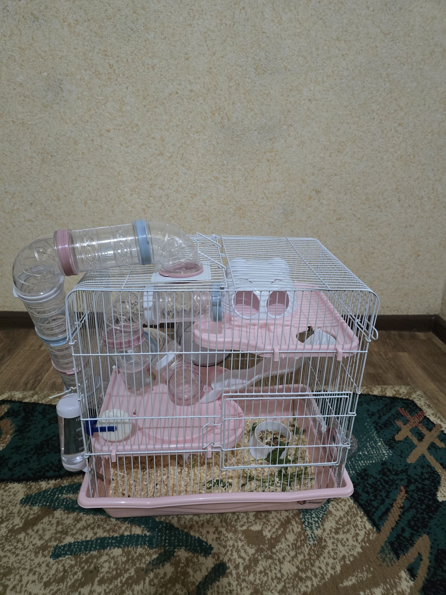 3 хомяка с клеткой