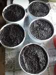 Vand magiun  prune