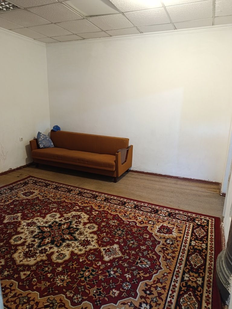 Ijaraga studentlarni qoʻyamiz