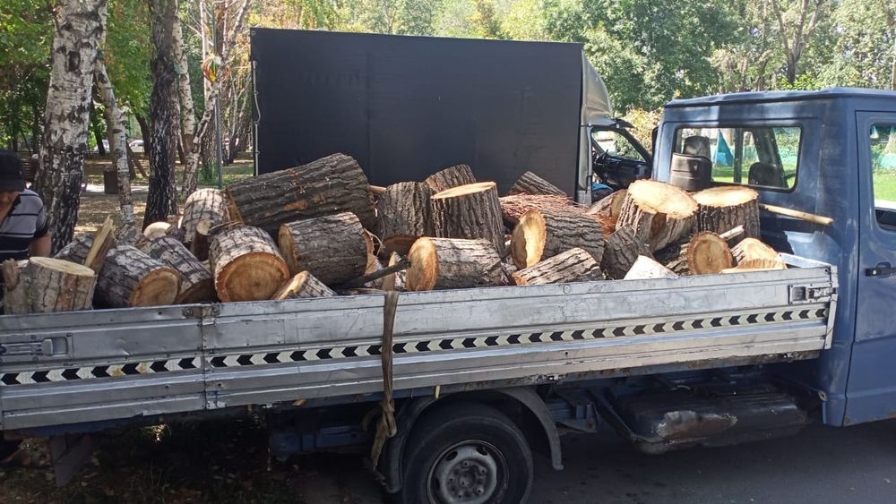 Дрова предлагаю Алматы