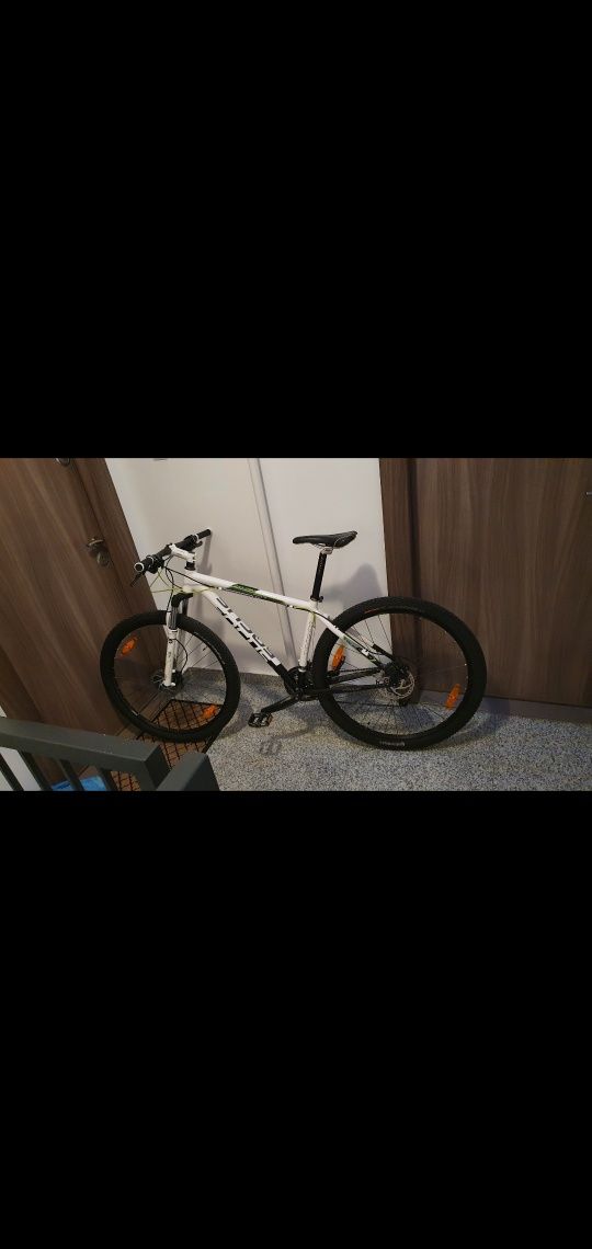 Focus BlackForest 29r