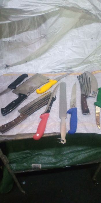 Satare pt tomcat carne