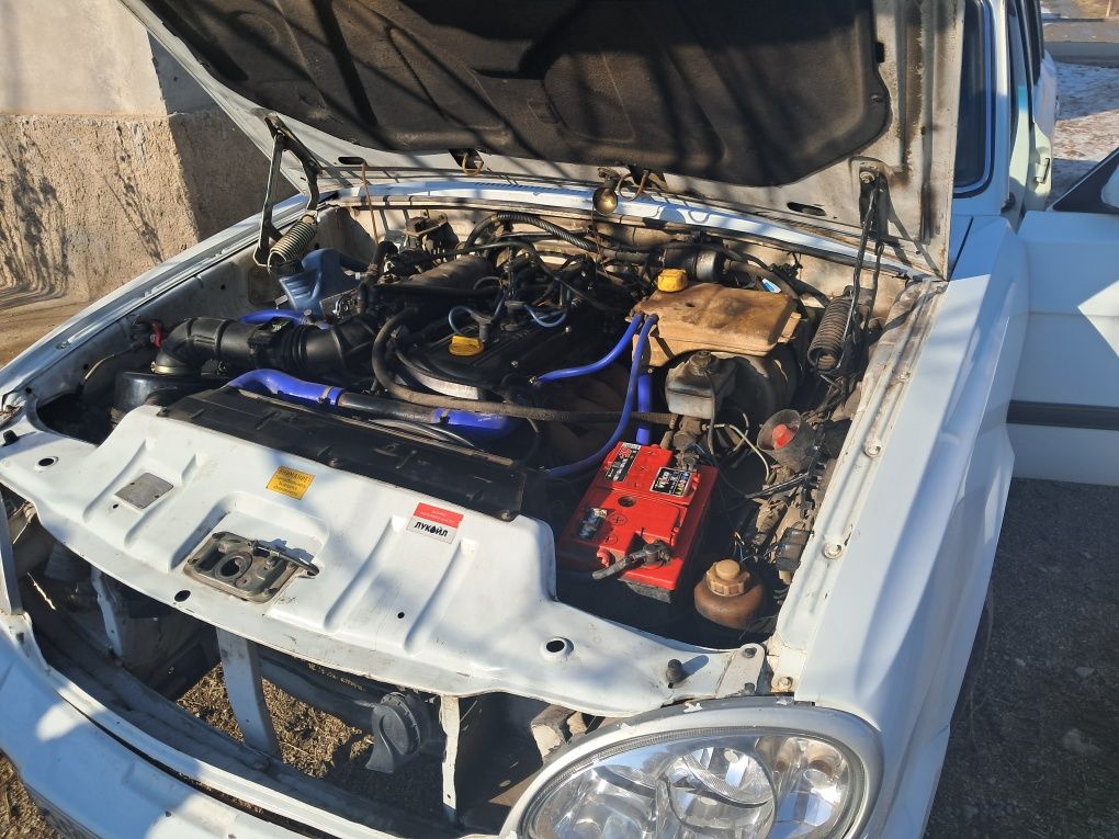 31105 volga zaychik