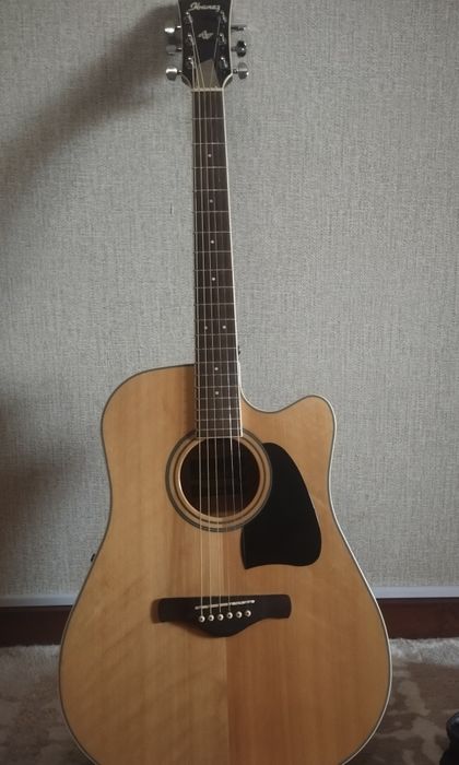 ibanez Artwood series