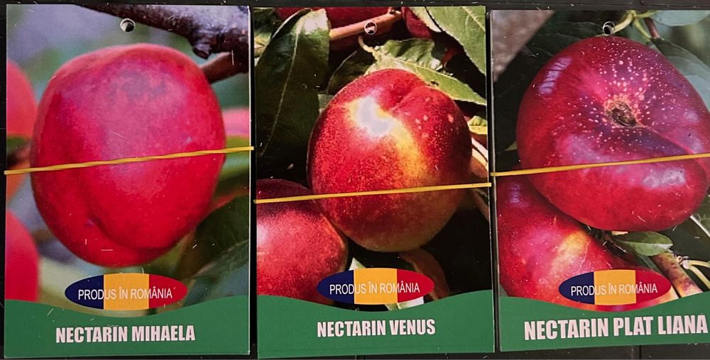 Pomi fructiferi certificati si ambalati