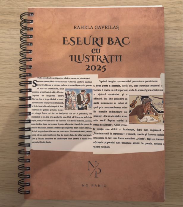 Carte cu eseuri la bacalaureatul de romana