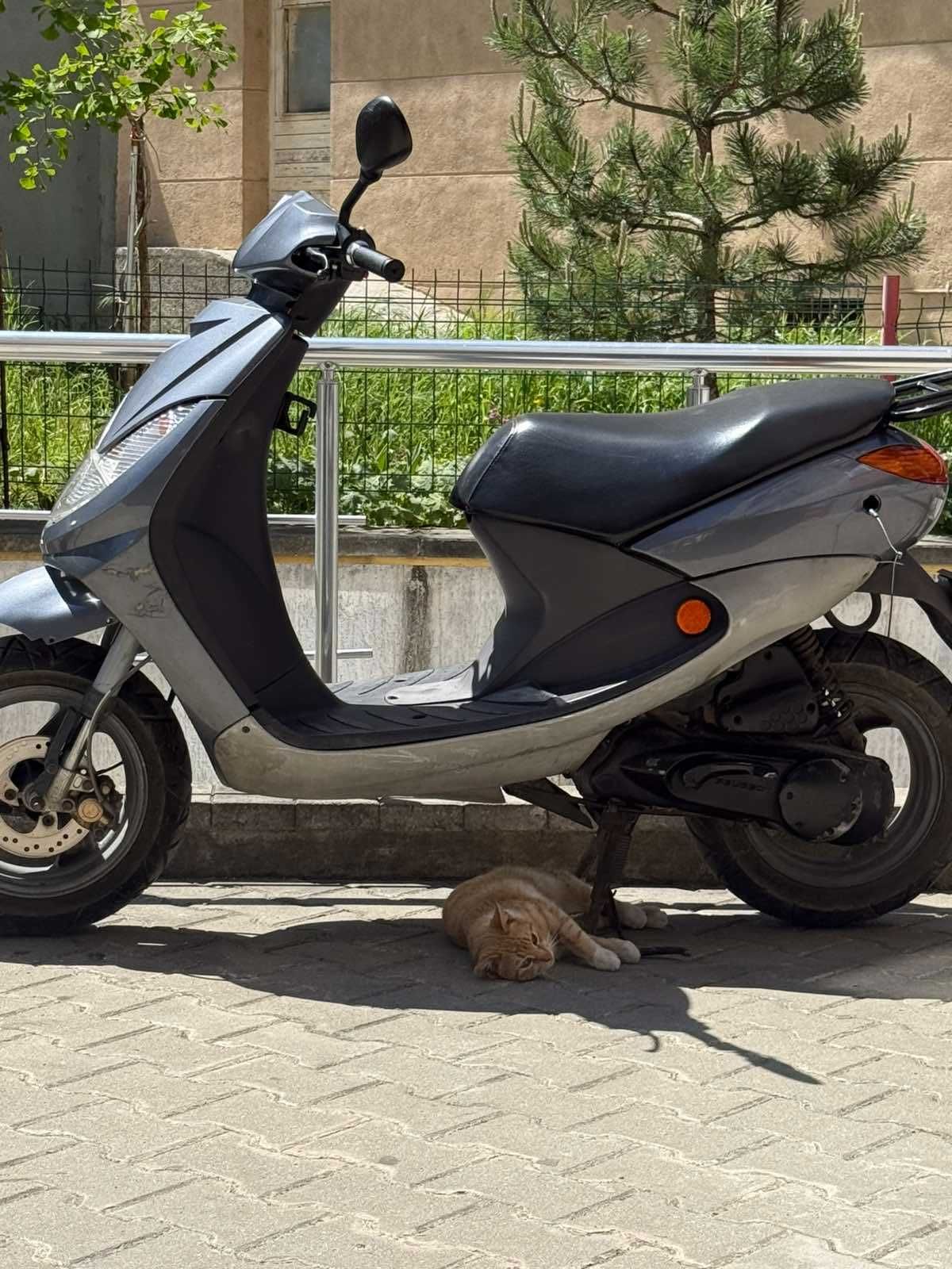 Peugeot vivasity