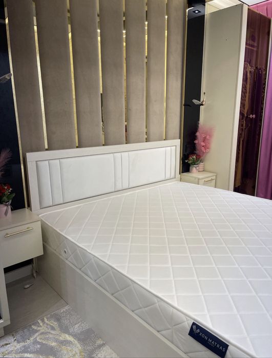 Kravat ikki kishilik Sex narxlarda Ulgurip Qoling