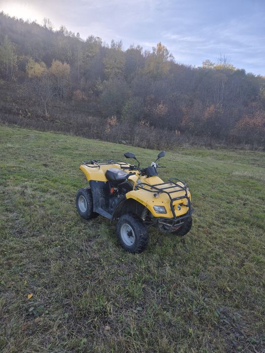 Can-am Rally 200cmc import Germania